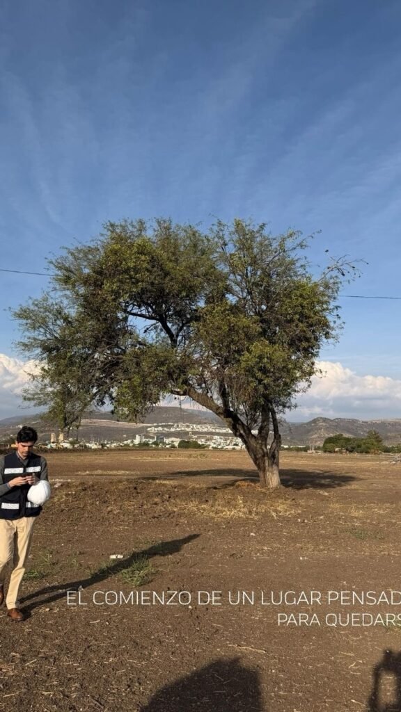 Aquí comienza todo.